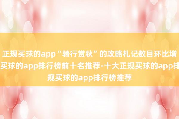 正规买球的app“骑行赏秋”的攻略札记数目环比增长150%-买球的app排行榜前十名推荐-十大正规买球的app排行榜推荐