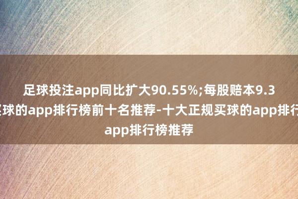 足球投注app同比扩大90.55%;每股赔本9.3港仙-买球的app排行榜前十名推荐-十大正规买球的app排行榜推荐