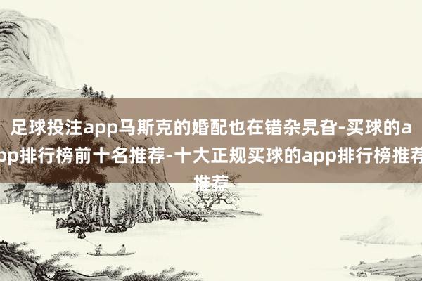 足球投注app马斯克的婚配也在错杂旯旮-买球的app排行榜前十名推荐-十大正规买球的app排行榜推荐