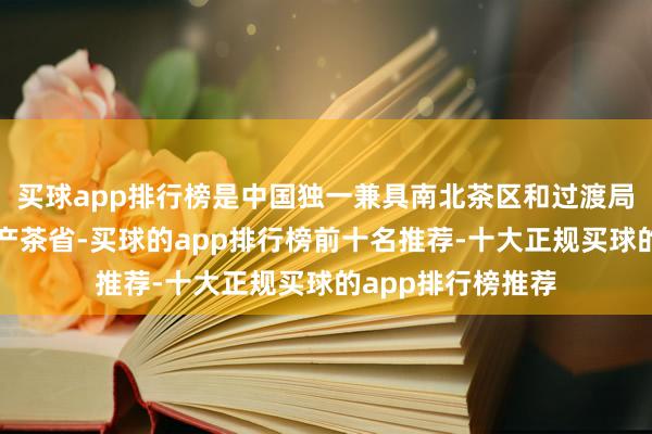 买球app排行榜是中国独一兼具南北茶区和过渡局势带特征的要点产茶省-买球的app排行榜前十名推荐-十大正规买球的app排行榜推荐