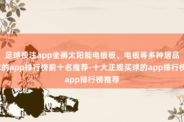足球投注app坐褥太阳能电板板、电板等多种居品-买球的app排行榜前十名推荐-十大正规买球的app排行榜推荐