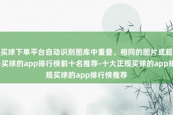 买球下单平台自动识别图库中重叠、相同的图片或超大视频等-买球的app排行榜前十名推荐-十大正规买球的app排行榜推荐