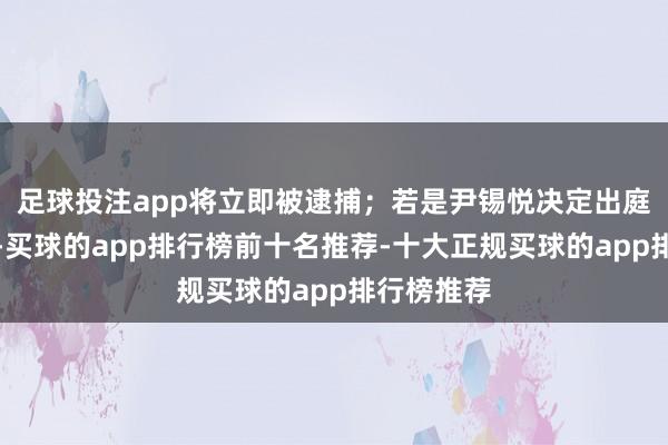 足球投注app将立即被逮捕；若是尹锡悦决定出庭听取宣判-买球的app排行榜前十名推荐-十大正规买球的app排行榜推荐