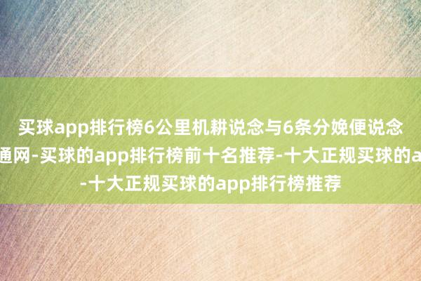 买球app排行榜6公里机耕说念与6条分娩便说念构建起田间交通网-买球的app排行榜前十名推荐-十大正规买球的app排行榜推荐