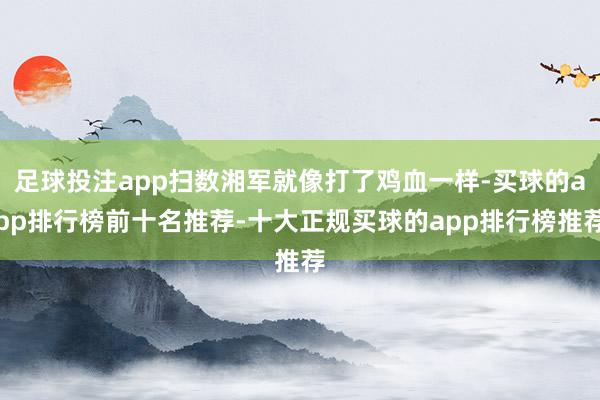 足球投注app扫数湘军就像打了鸡血一样-买球的app排行榜前十名推荐-十大正规买球的app排行榜推荐