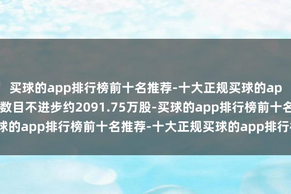 买球的app排行榜前十名推荐-十大正规买球的app排行榜推荐刊行股票数目不进步约2091.75万股-买球的app排行榜前十名推荐-十大正规买球的app排行榜推荐