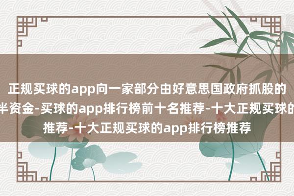 正规买球的app向一家部分由好意思国政府抓股的公司参加如斯多半资金-买球的app排行榜前十名推荐-十大正规买球的app排行榜推荐