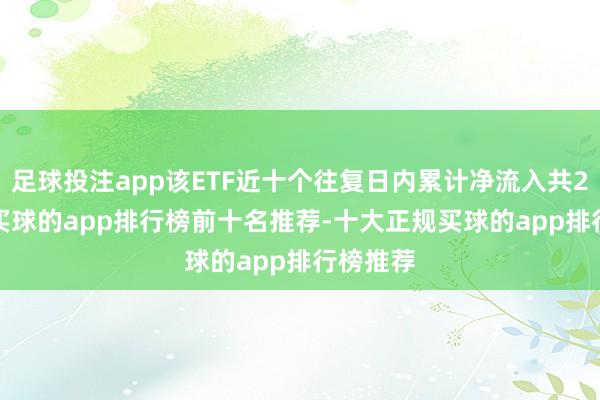 足球投注app该ETF近十个往复日内累计净流入共2.94亿-买球的app排行榜前十名推荐-十大正规买球的app排行榜推荐