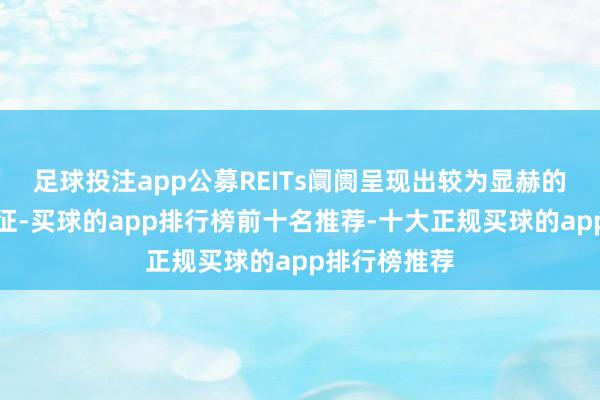 足球投注app公募REITs阛阓呈现出较为显赫的头部都集特征-买球的app排行榜前十名推荐-十大正规买球的app排行榜推荐