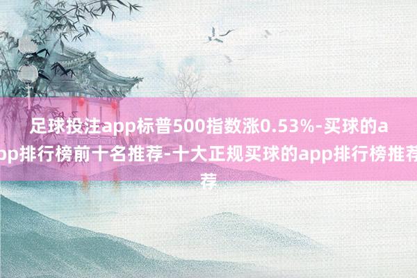 足球投注app标普500指数涨0.53%-买球的app排行榜前十名推荐-十大正规买球的app排行榜推荐