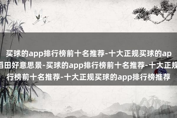 买球的app排行榜前十名推荐-十大正规买球的app排行榜推荐可不雅赏稻田好意思景-买球的app排行榜前十名推荐-十大正规买球的app排行榜推荐