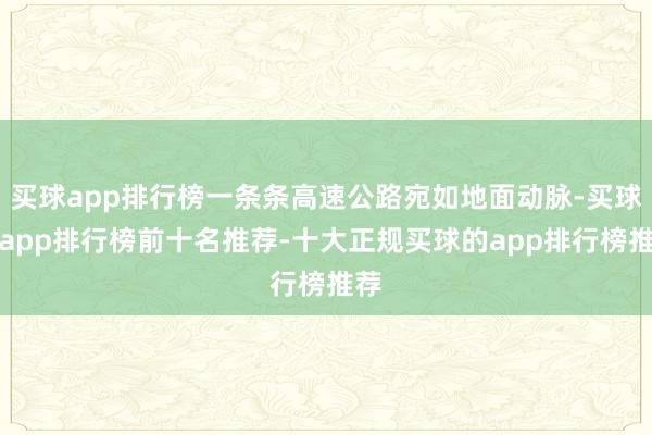 买球app排行榜一条条高速公路宛如地面动脉-买球的app排行榜前十名推荐-十大正规买球的app排行榜推荐