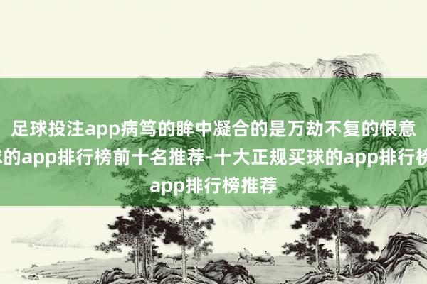 足球投注app病笃的眸中凝合的是万劫不复的恨意-买球的app排行榜前十名推荐-十大正规买球的app排行榜推荐