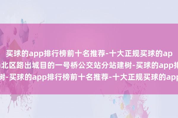 买球的app排行榜前十名推荐-十大正规买球的app排行榜推荐\n二\n北区路出城目的一号桥公交站分站建树-买球的app排行榜前十名推荐-十大正规买球的app排行榜推荐