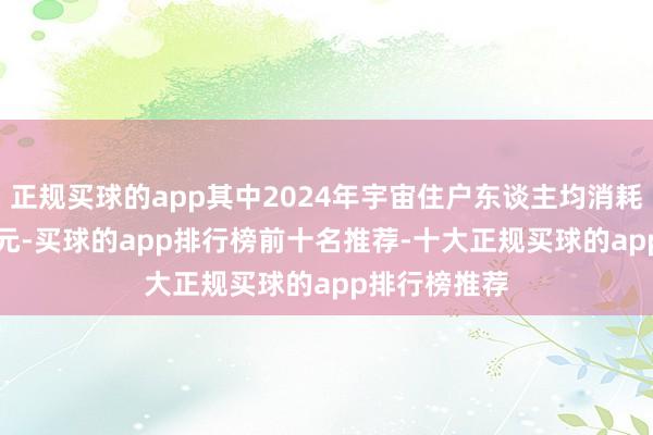 正规买球的app其中2024年宇宙住户东谈主均消耗支拨28227元-买球的app排行榜前十名推荐-十大正规买球的app排行榜推荐